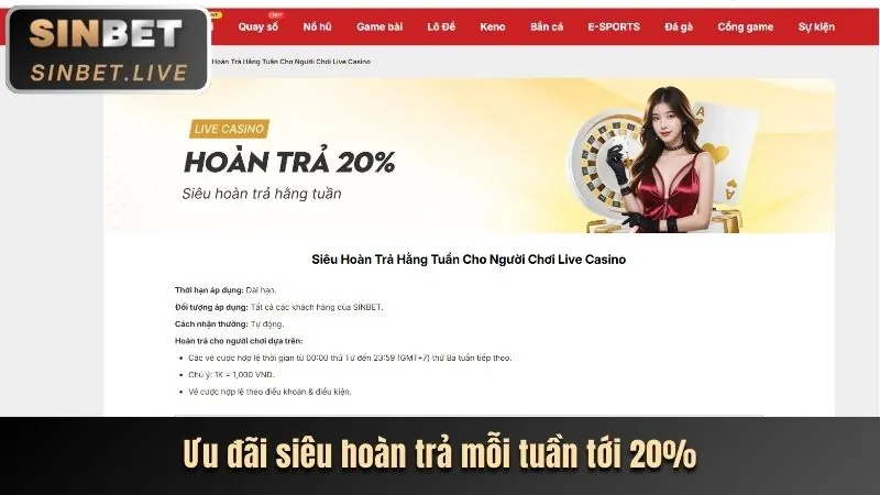 Người chơi đặt cược và theo dõi trận đấu trực tiếp